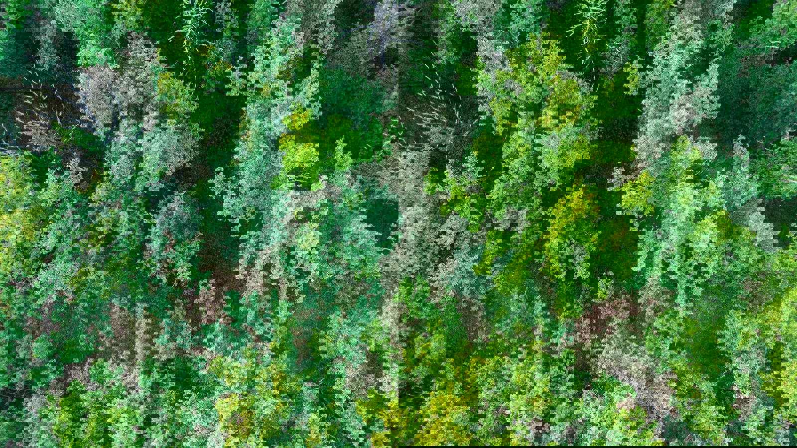 Adobestock 207980530 (1)